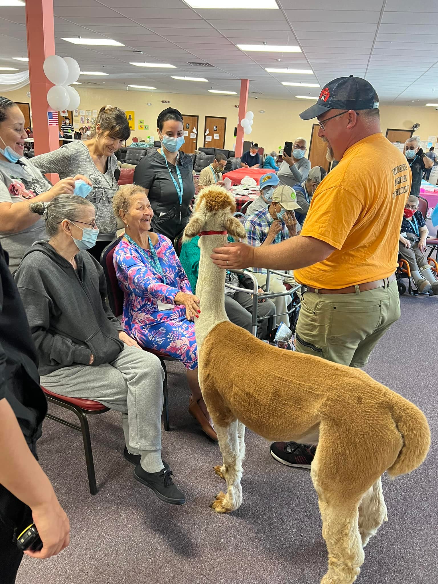 Seniors enjoying a music session