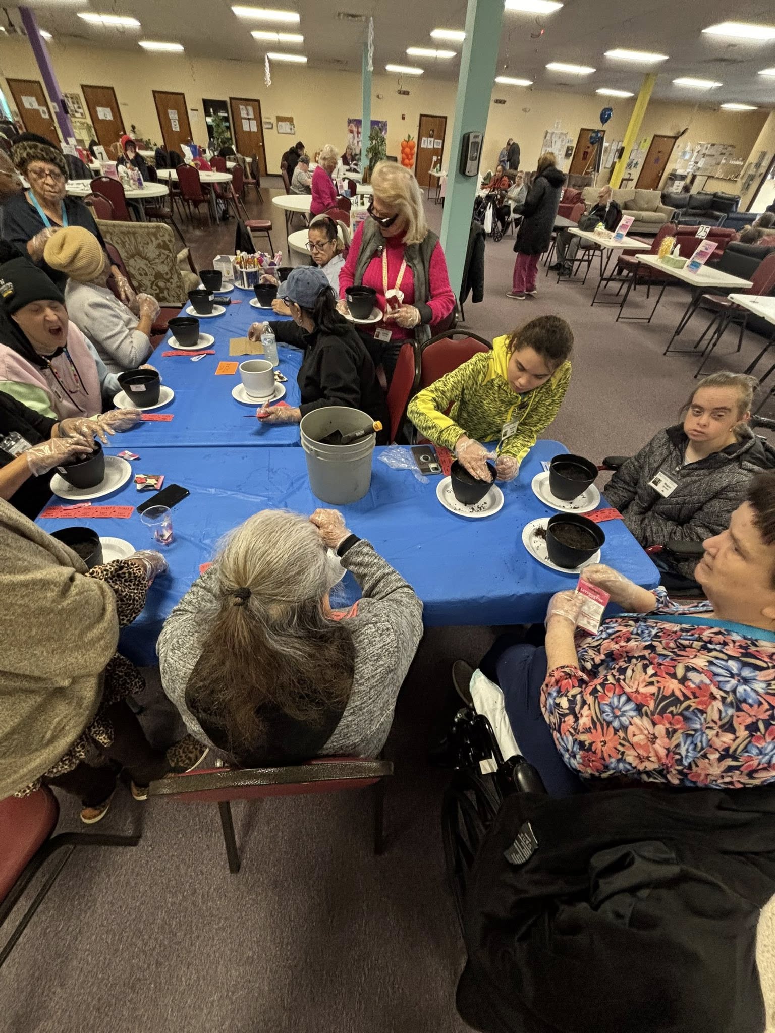 Group working together