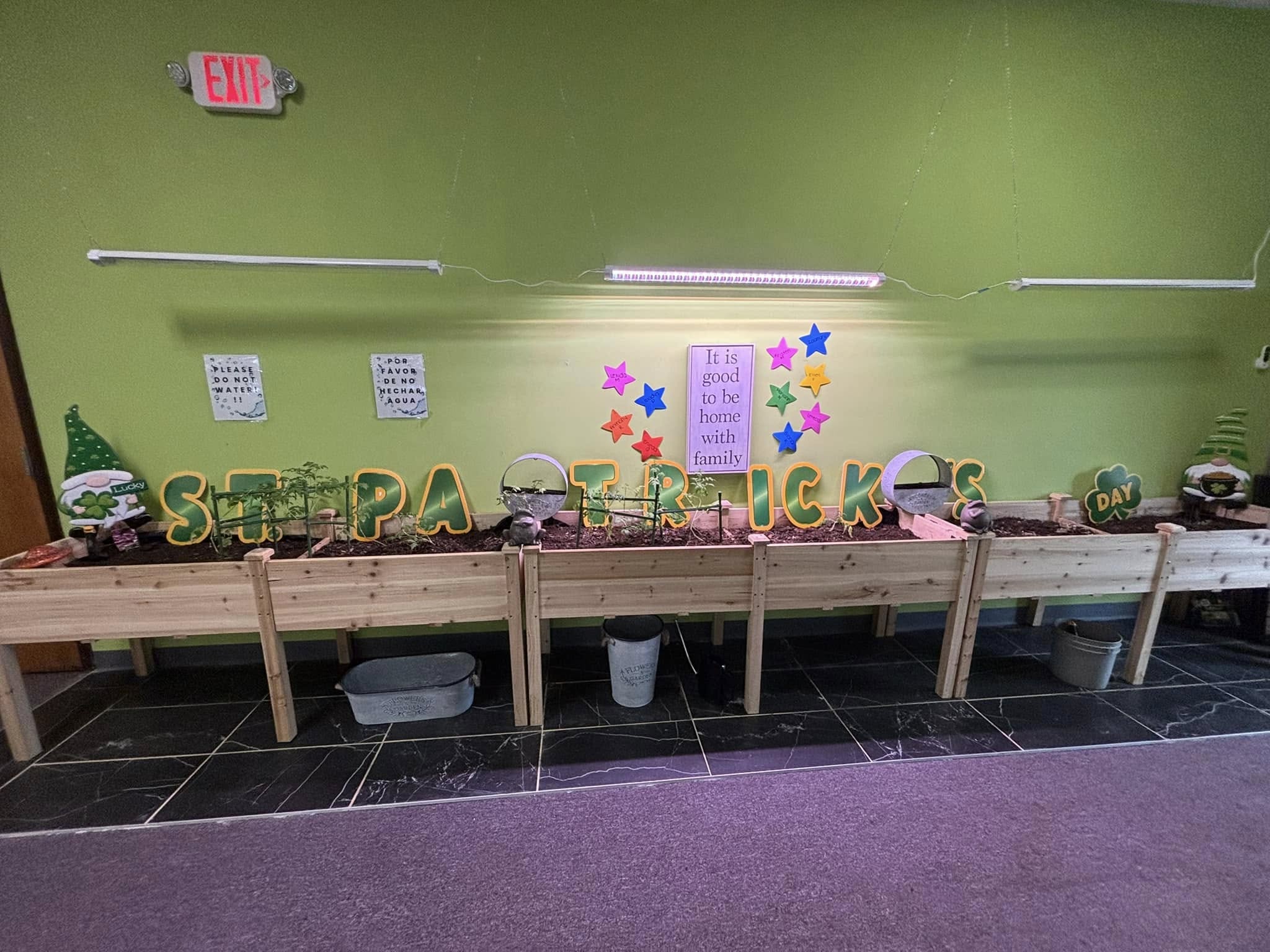 St. Patrick's Day celebration with green decorations