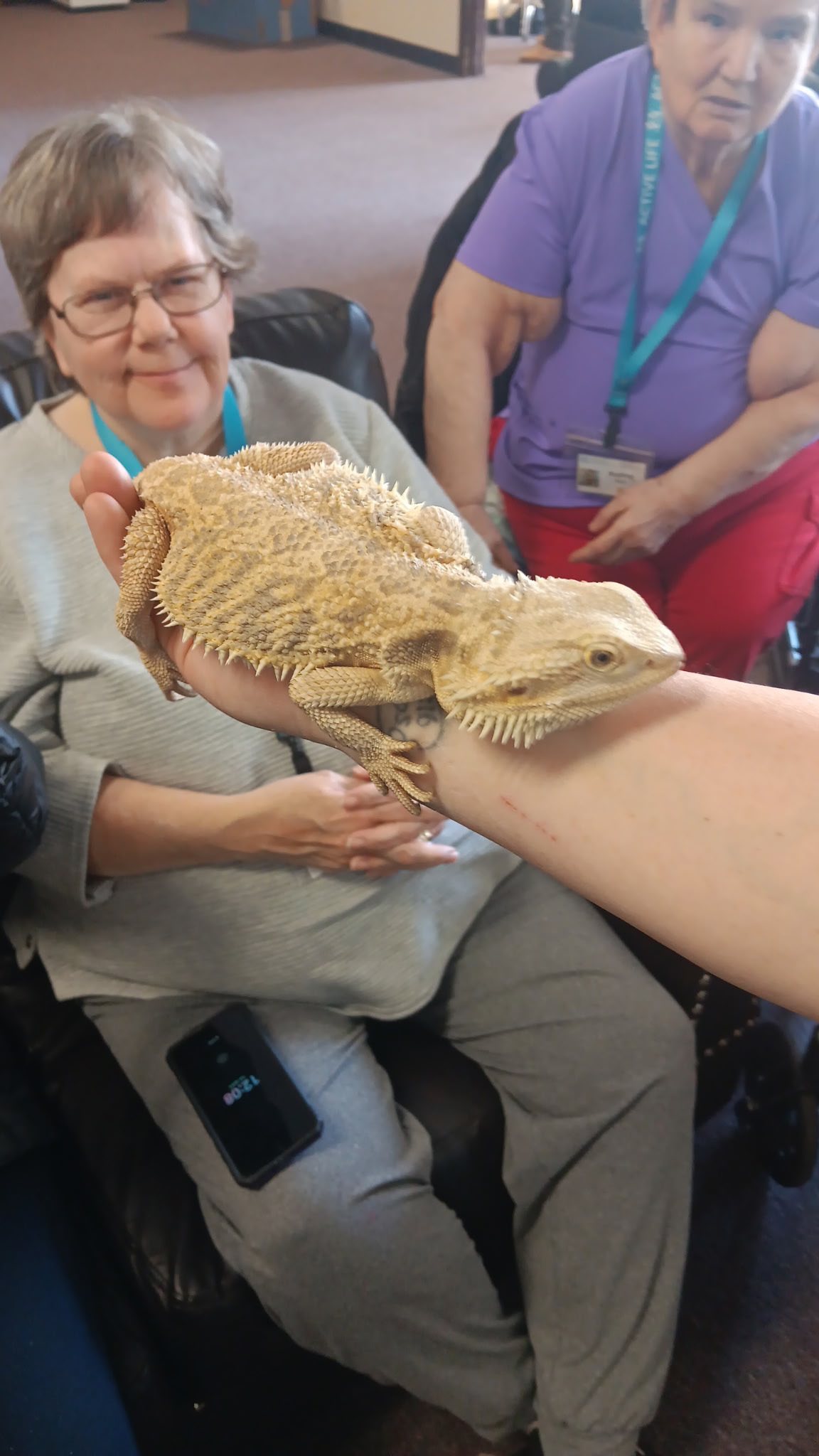 Feeding animals with staff help