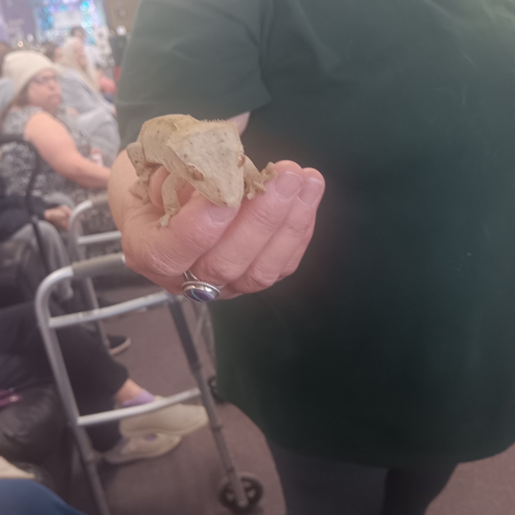 Close-up animal interactions